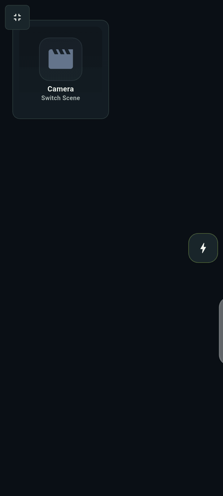 The Show Controls custom page in DeckPilot full-screen mode with a Camera scene button